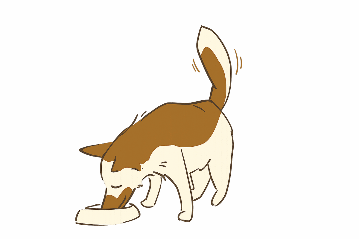 Perro 2 home Naturextra