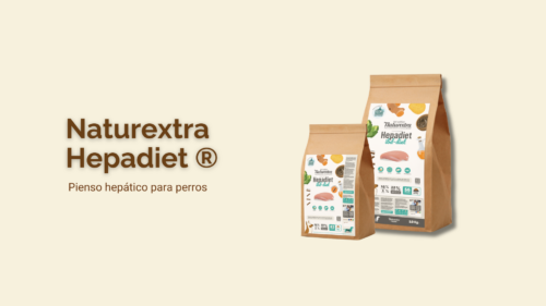 Portada Hepadiet Blog