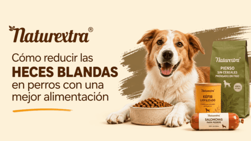 Como reducir heces blandas en perros con mejor alimentación