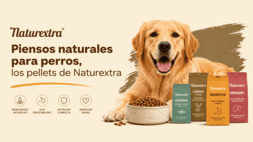 Piensos naturales para perros