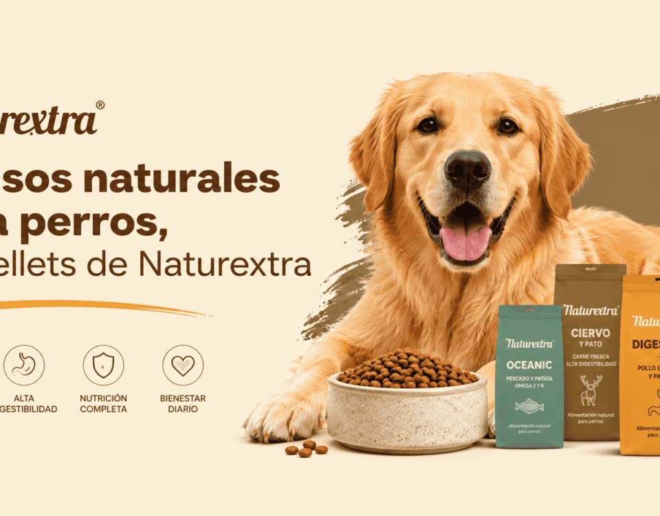 Piensos naturales para perros