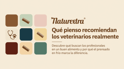 Qué pienso recomiendan los veterinarios realmente