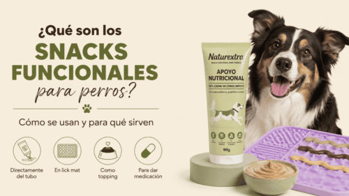Qué son los snacks funcionales